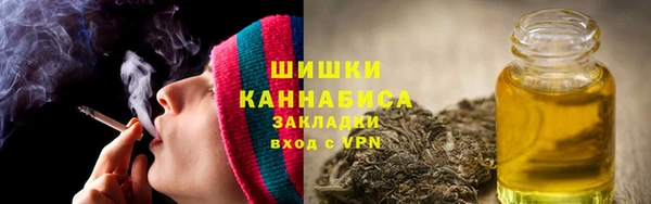 МДПВ Заводоуковск