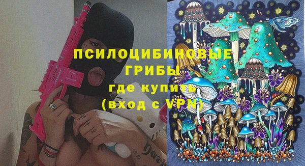 МДПВ Заводоуковск