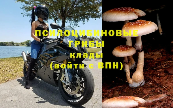 мдма Заволжск