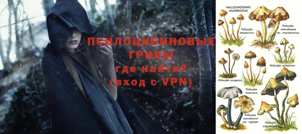 мдма Заволжск
