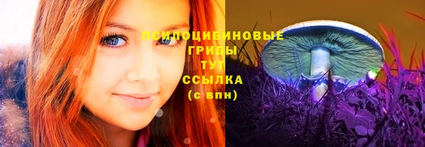 МДПВ Заводоуковск