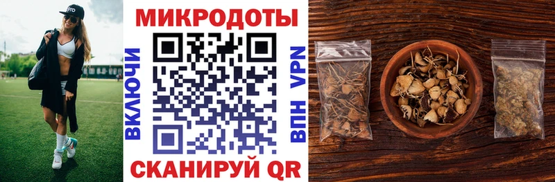 Псилоцибиновые грибы Psilocybe  Купить  Куртамыш 