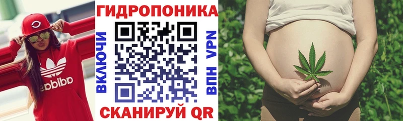 Бошки марихуана ГИДРОПОН  Купить где  Куртамыш 